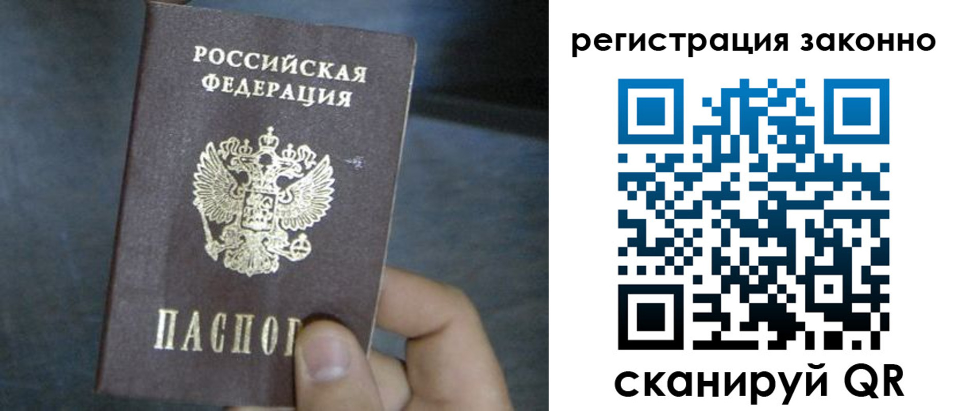 где прописаться в Коле
